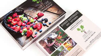 Post Card Flyers - Toronto Print Press
